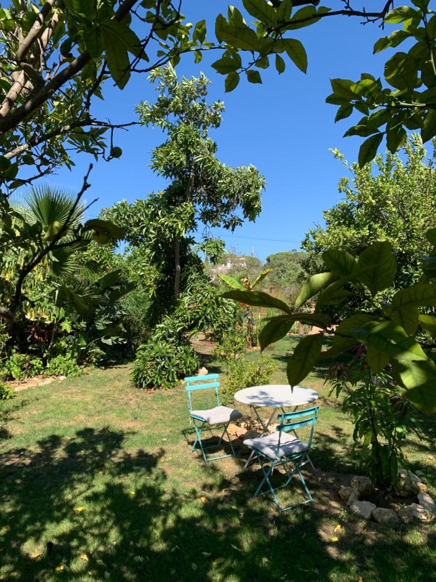 A Tranquil Garden Apartment, Carvoeiro - Benagil Exteriér fotografie
