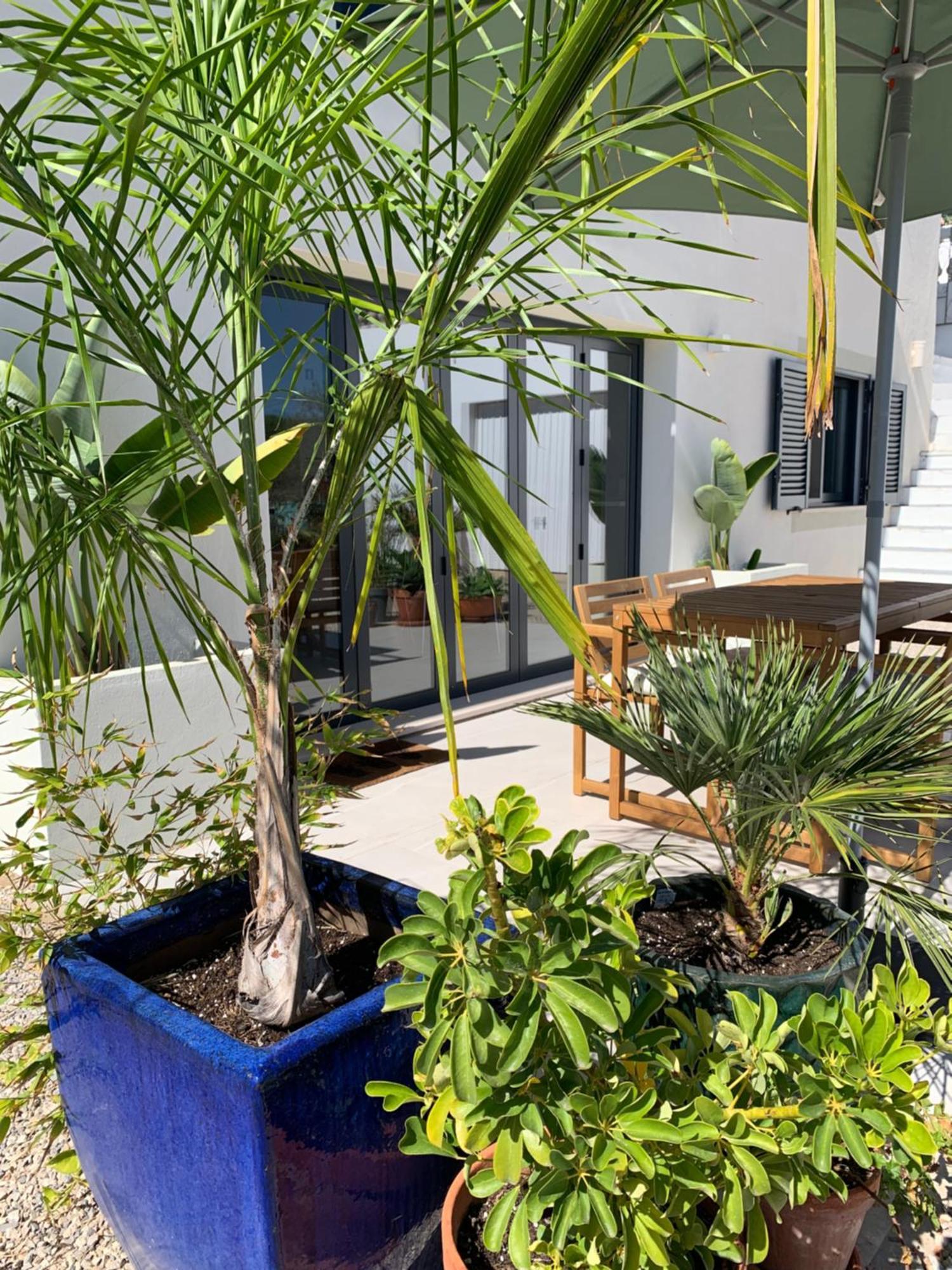 A Tranquil Garden Apartment, Carvoeiro - Benagil Exteriér fotografie